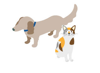 犬と猫のイラスト